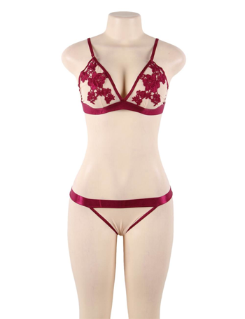 Embroidery Fashion Bra Set