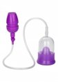  Intimate Pump Purple 