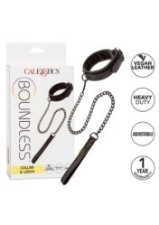 Boundless Collar & Leash