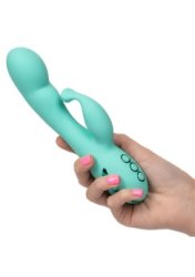 Tahoe Temptation Rabbit