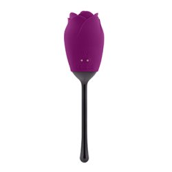 Petal vibrator Wild Astor
