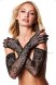 Baci Allover Lace Opera Gloves