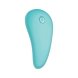 Love Distance Span Vibrator