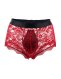  Sexy See-Through Men's Lingerie 