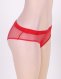 P5091-2 Netted Open Back Panty 