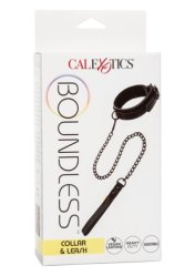 Boundless Collar & Leash