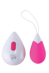 All Time Favorites 10F Remote Egg