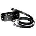  Sportsheets - Leather Collar & Leash Set 