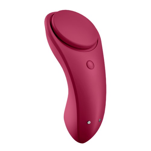 Sexy Secret Panty Vibrator