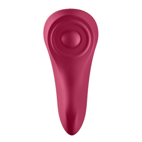 Sexy Secret Panty Vibrator