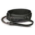  Fetish collar with leash 