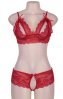  Cranberry And Lace Bra set - One Size 