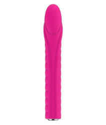 Nalone Dixie Vibrator